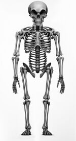 Grey skeleton.jpg